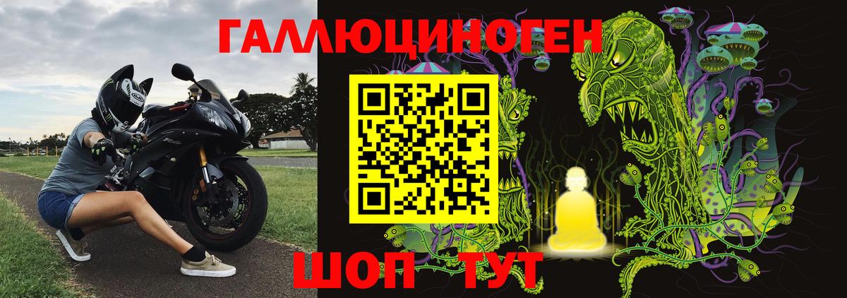 Псилоцибиновые грибы GOLDEN TEACHER Уссурийск